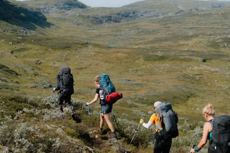 Wandern in Norwegen auf der Hardangervidda