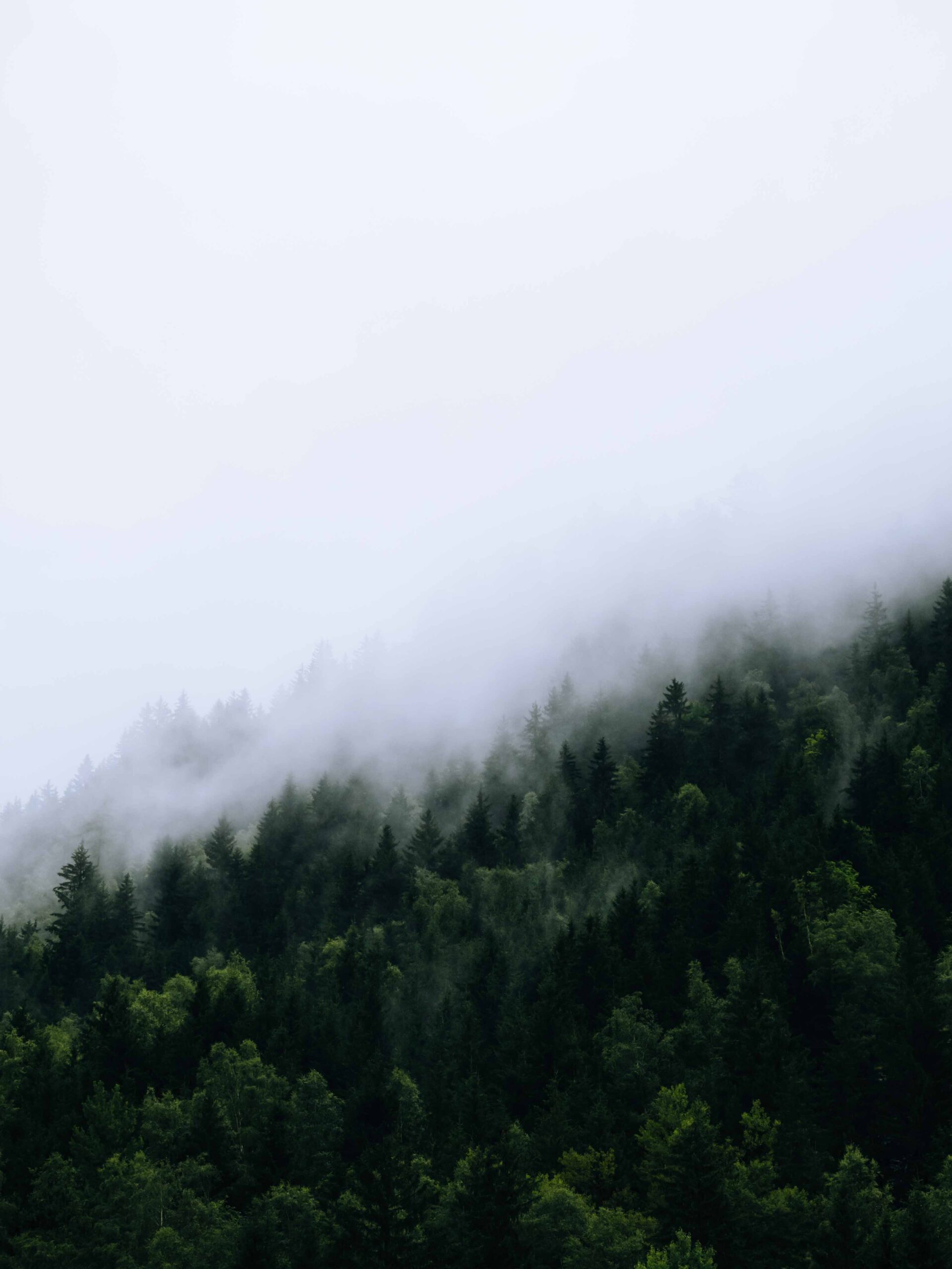 The Mont Blanc Trail - tour du mont blanc